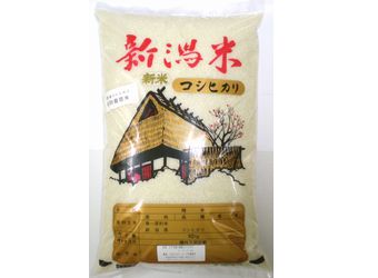 特別栽培米小国産コシヒカリ